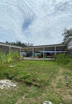 Naroman Esperansa — Urbanizasaun Kampus — 2